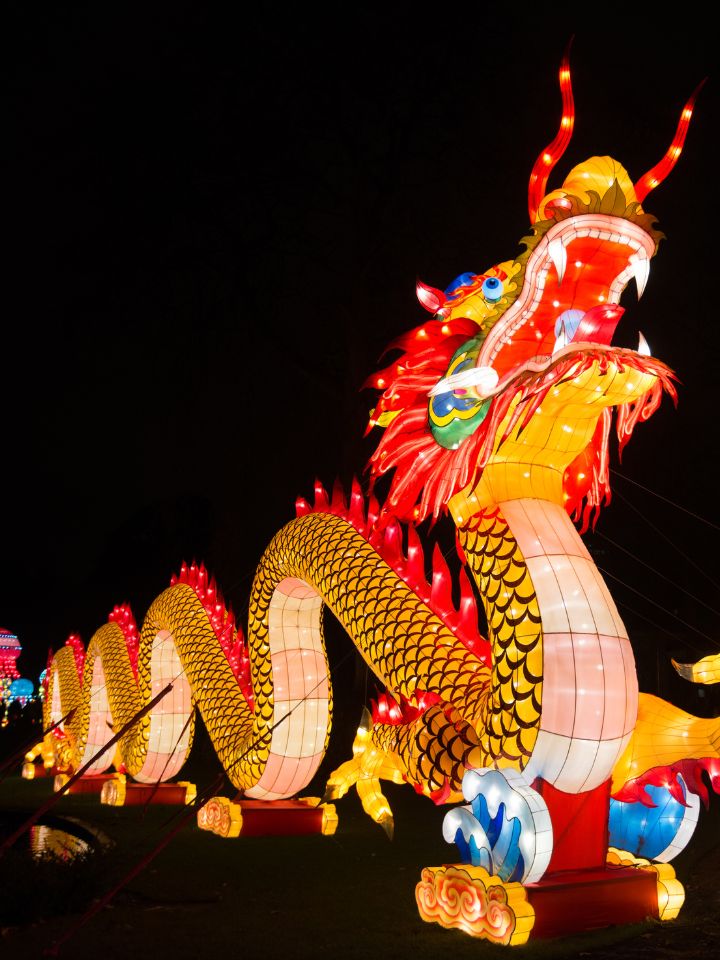 龙灯图片